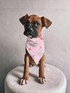 Pretty Peppermint Dog Bandana *