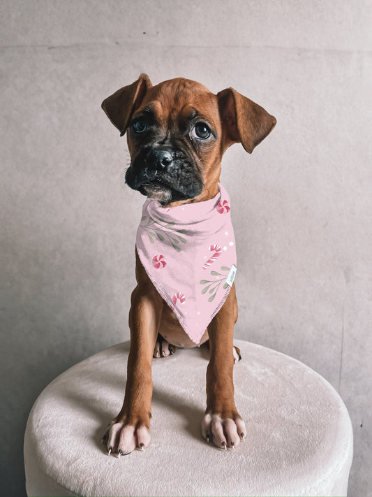 Pretty Peppermint Dog Bandana *OCTOBER PREORDER*