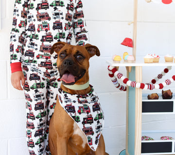 Festive Food Trucks Dog Bandana