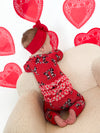 Fairytale Kind of Love Ruffle Footie Snoozer