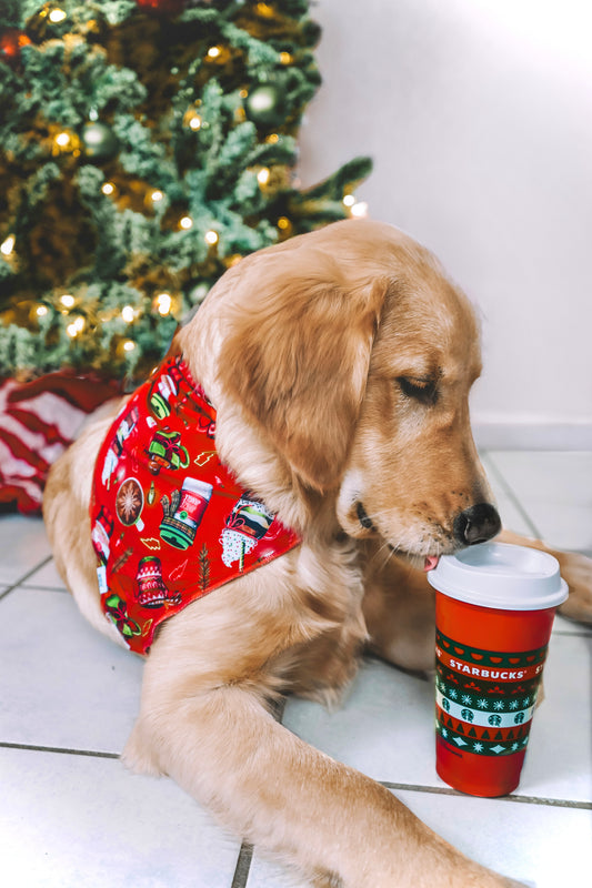 Fa La La Latte Dog Bandana